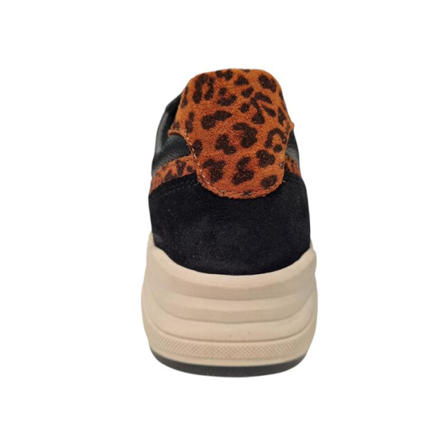 Bridge 25257694 25257694 large