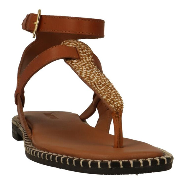 Maruti 66.1520.01 66.1520.01 large