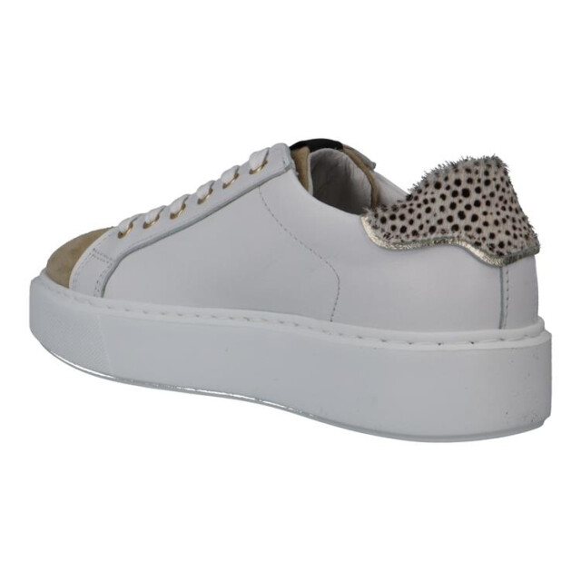 Maruti 66.1531.03 66.1531.03 large