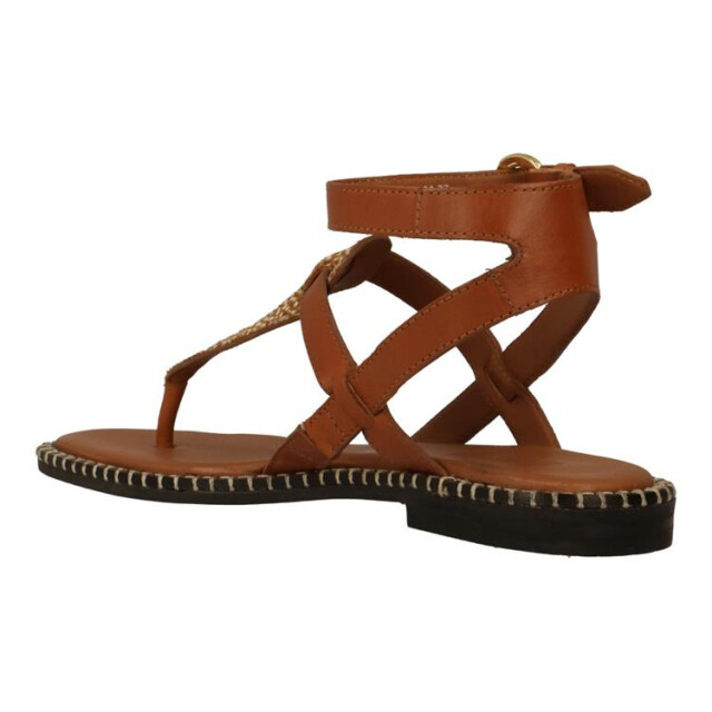 Maruti 66.1520.01 66.1520.01 large