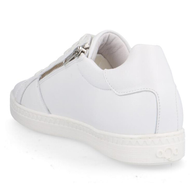 Aqa A8686 a8686 large