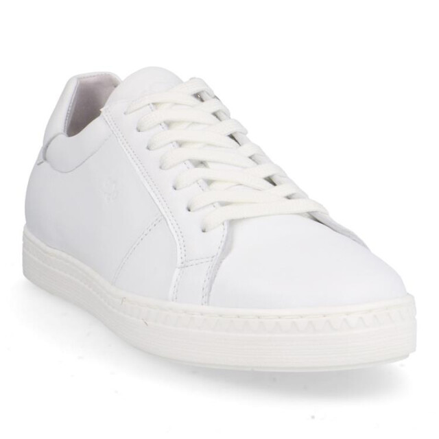 Aqa A8686 a8686 large