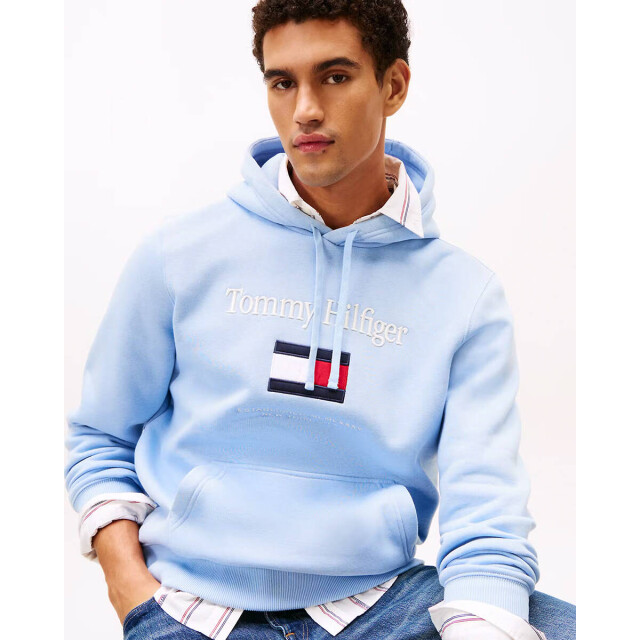 Tommy Hilfiger Hoodie mw0mw42735 Tommy Hilfiger Hoodie MW0MW42735 large