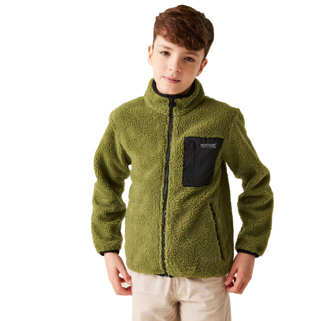 Regatta Kinder/kids frankie full zip fleecejack UTRG10917_nephritegreen large