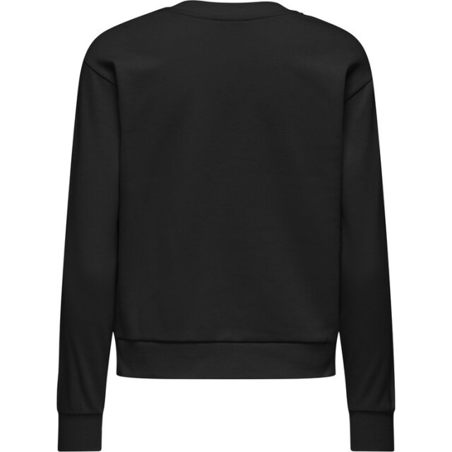 Jacqueline de Yong Jdyparis ls emb sweat jrs - 4209.80.0014 large