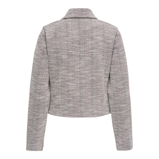 Jacqueline de Yong Jdylissy ls blazer jrs dessin 4549.69.0003 large