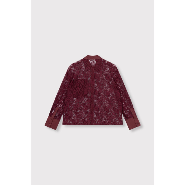 Alix The Label Lace blouse bordeaux 4309.47.0002 large