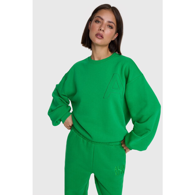 Alix The Label Embroidered a sweater - 4209.20.0002 large