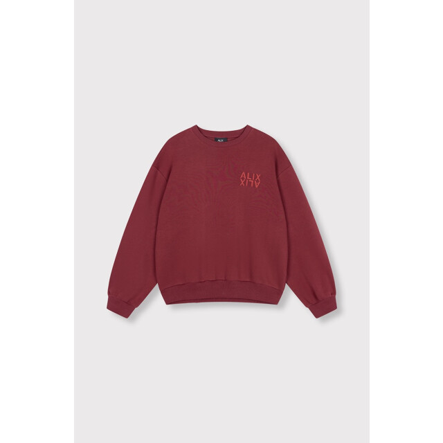 Alix The Label Alix sweater bordeaux 4209.47.0001 large