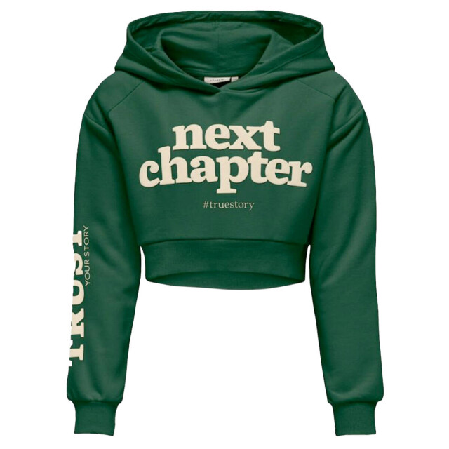 Only Hoodie 15331171 kogdiana Kids Only Hoodie 15331171 KOGDIANA large