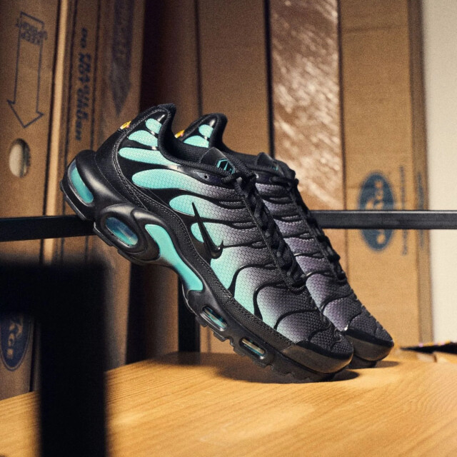 Nike Air max plus black dusty cactus DM0032-016 large