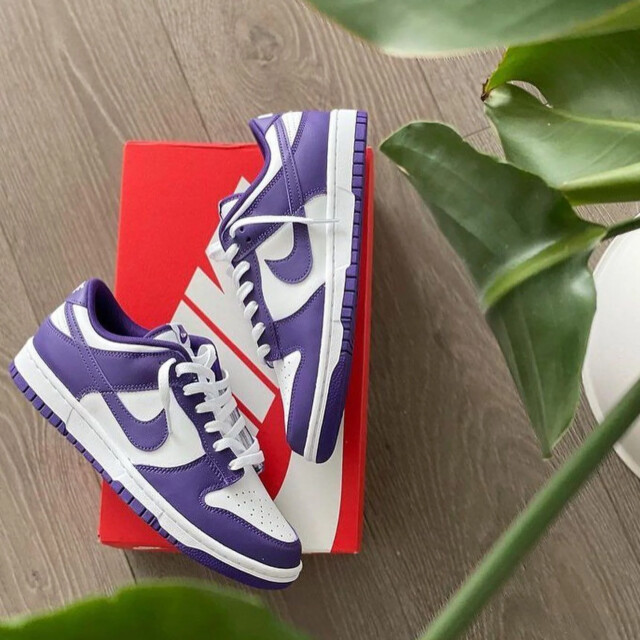 Nike Dunk low championship court purple DD1391-104 large