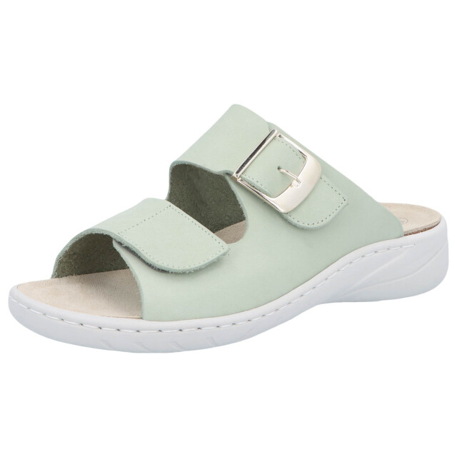 Solidus Wellness special 20195-70169 large