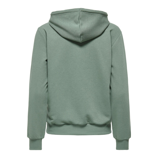 Only Play cava life hood ls loose swt training hoodie dames - 073316_305-L large