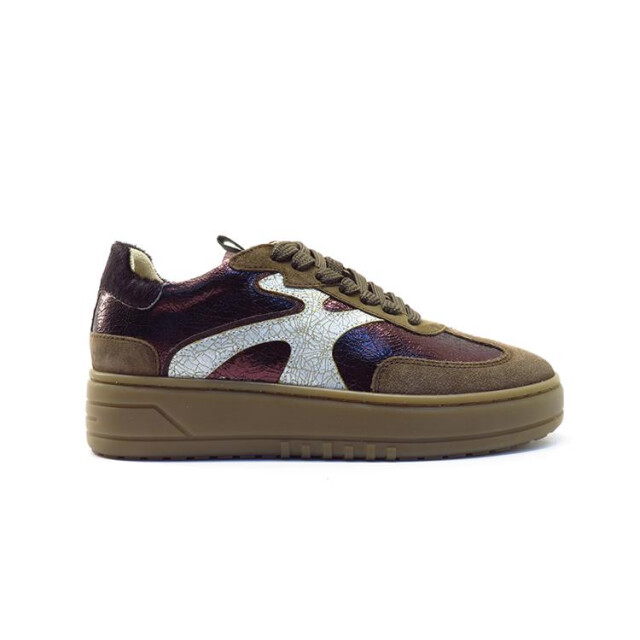 PS Poelman Lpanemone-71 LPANEMONE-71 large