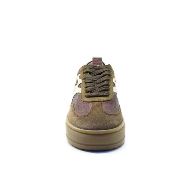 PS Poelman Lpanemone-71 LPANEMONE-71 large