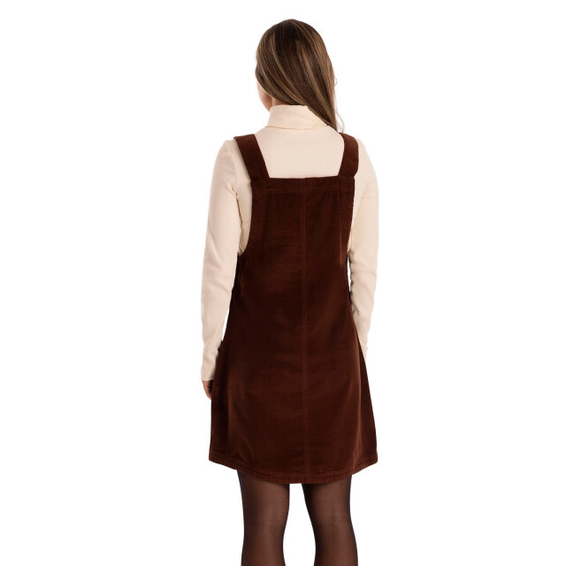 Trespass Vrouwen/dames twirl casual dress UTTP4943_chestnut large