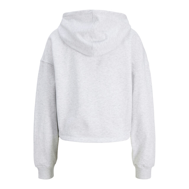 Jack & Jones Jxmerle rlx short hood swt 12289424 large