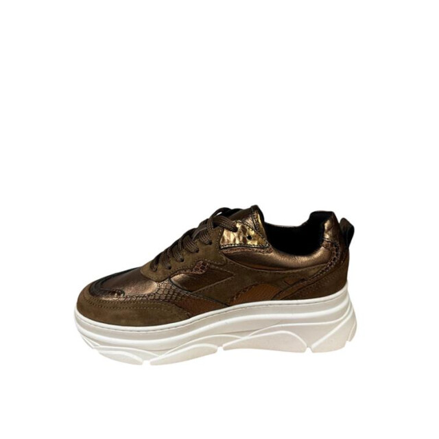 PS Poelman Lpjana-07poe4 LPJANA-07POE4 large