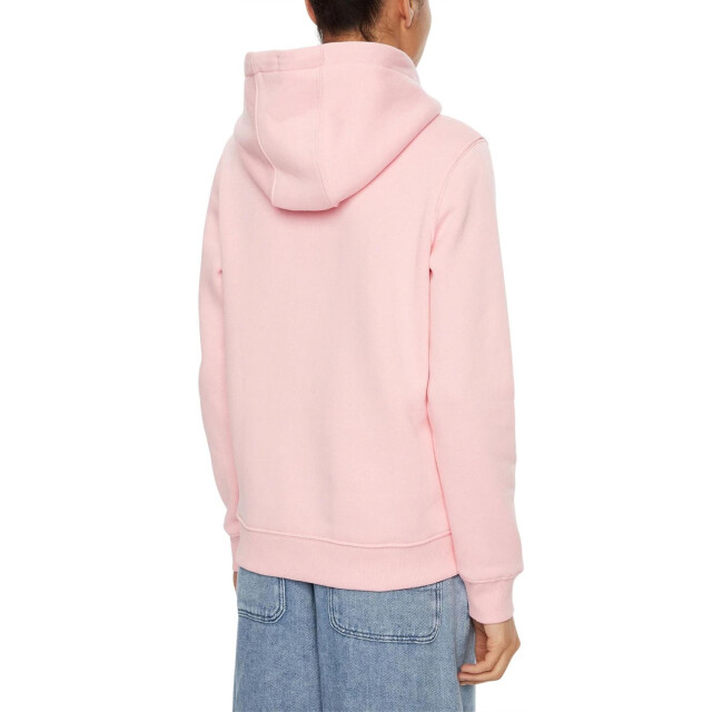 Tommy Hilfiger Dames tommy jeans hoodie UTNA823_pink large