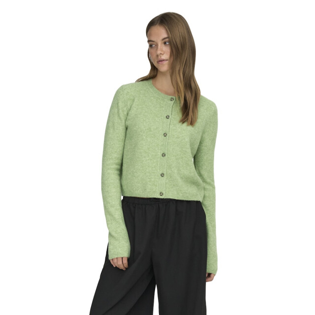 Jacqueline de Yong Jdychloe life ls cardigan knt noos melee 4249.29.0003 large