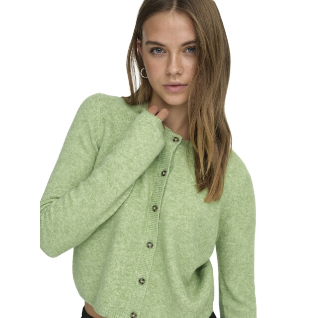 Jacqueline de Yong Jdychloe life ls cardigan knt noos melee 4249.29.0003 large