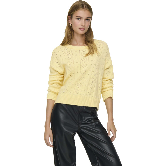 Only Onlisa life ls struct boxy oneck cc knt sunlight/m 15363149-290575002 large