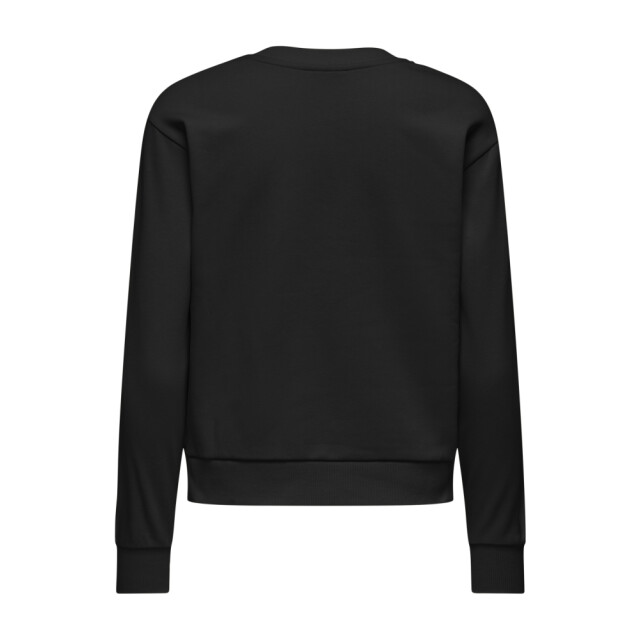 Jacqueline de Yong paris l/s emb sweat jrs 15221015 - 06721.991.0011 large