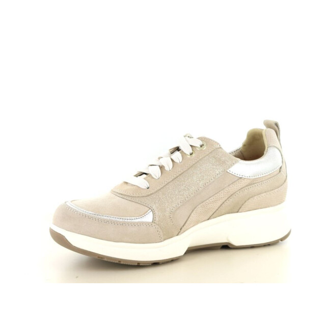 Xsensible 237.40.460 Sneakers Taupe 237.40.460 large