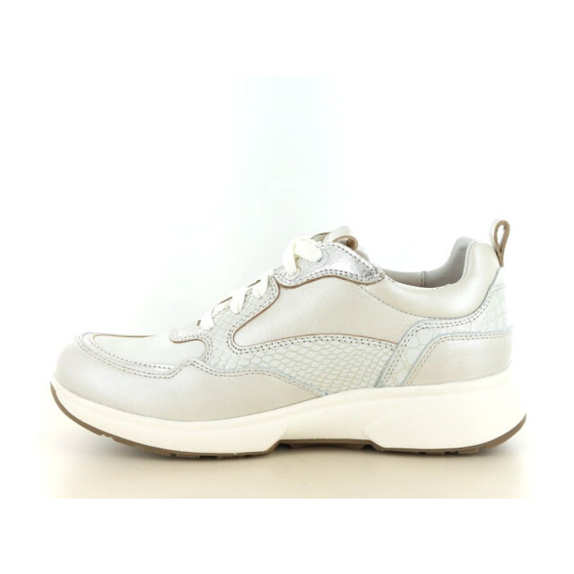 Xsensible 237.40.169 Sneakers Taupe 237.40.169 large