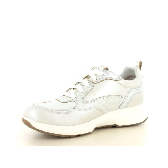 Xsensible 237.40.169 Sneakers Taupe 237.40.169 large