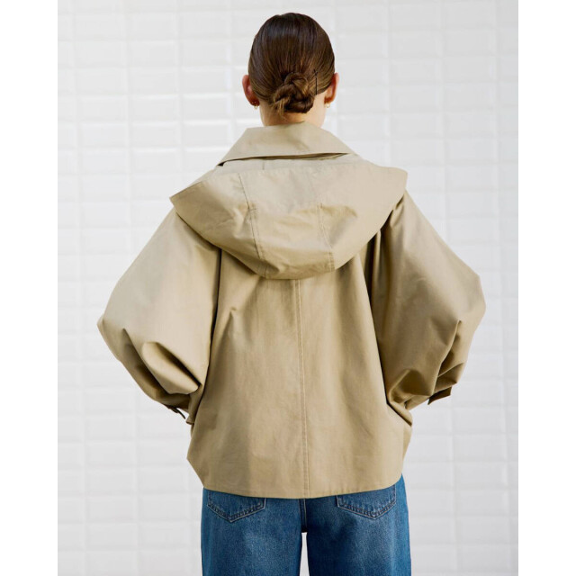 WithBlack Jack 00001393 wblalaia WithBlack Jack 00001393 WBLALAIA large