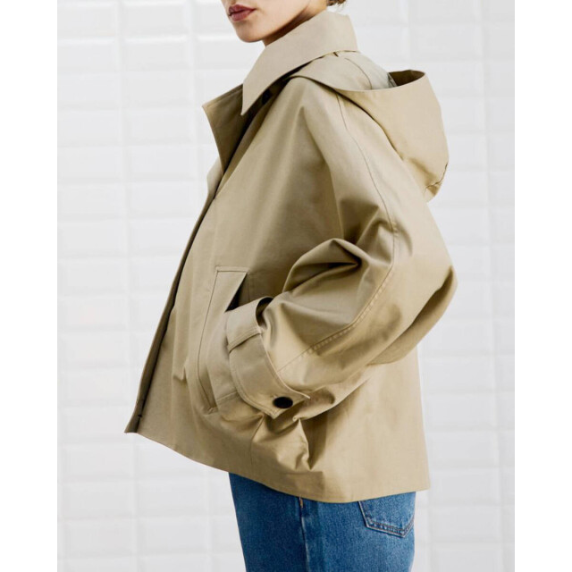 WithBlack Jack 00001393 wblalaia WithBlack Jack 00001393 WBLALAIA large