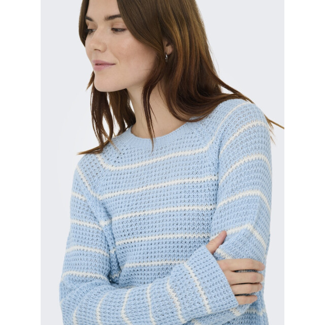 Jacqueline de Yong Jdyellen ls oneck raglan pullover knt licht 4219.31.0096 large