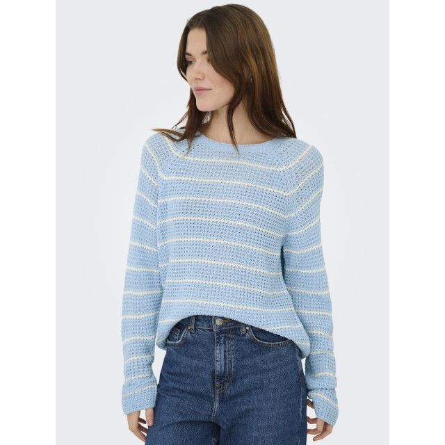 Jacqueline de Yong Jdyellen ls oneck raglan pullover knt licht 4219.31.0096 large