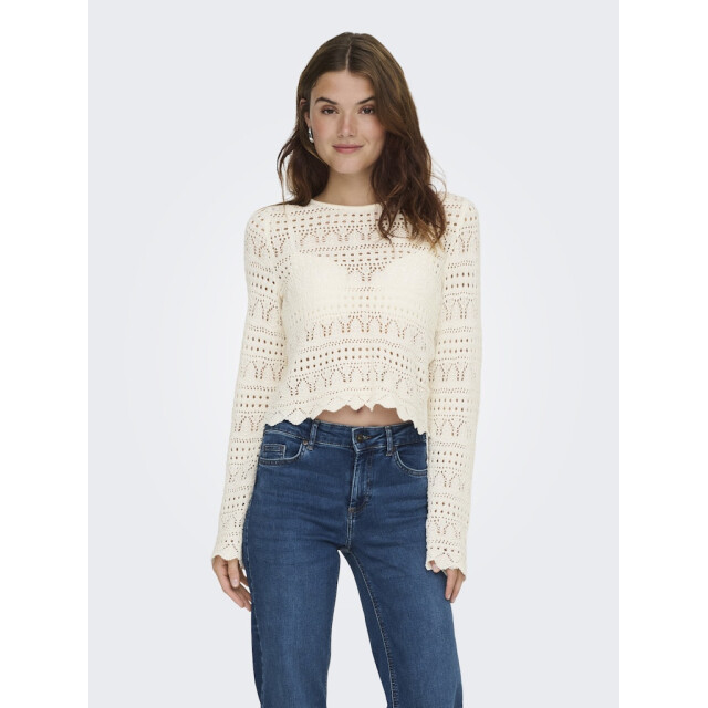 Only Onlelke life ls pullover knt noos off-white 4219.02.0015 large