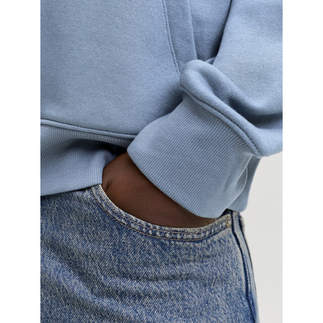 Jack & Jones Jjestar jj sweat hood raf 5209.33.0096 large