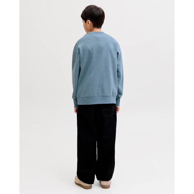 Jack & Jones Sweat 12279112 sohok Jack & Jones Junior Sweat 12279112 SOHOK large