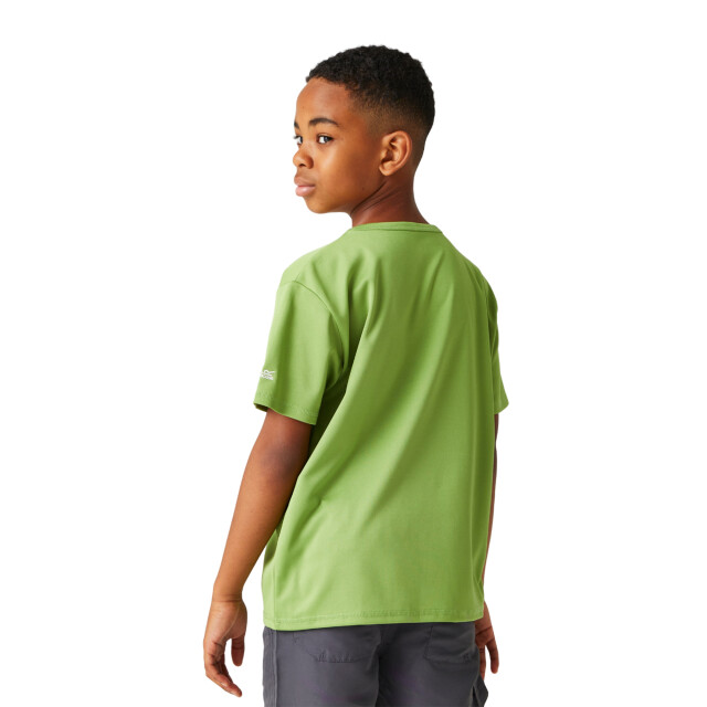 Regatta Kinderen/kinderen alvardo viii verkennings t-shirt UTRG10995_piquantgreen large