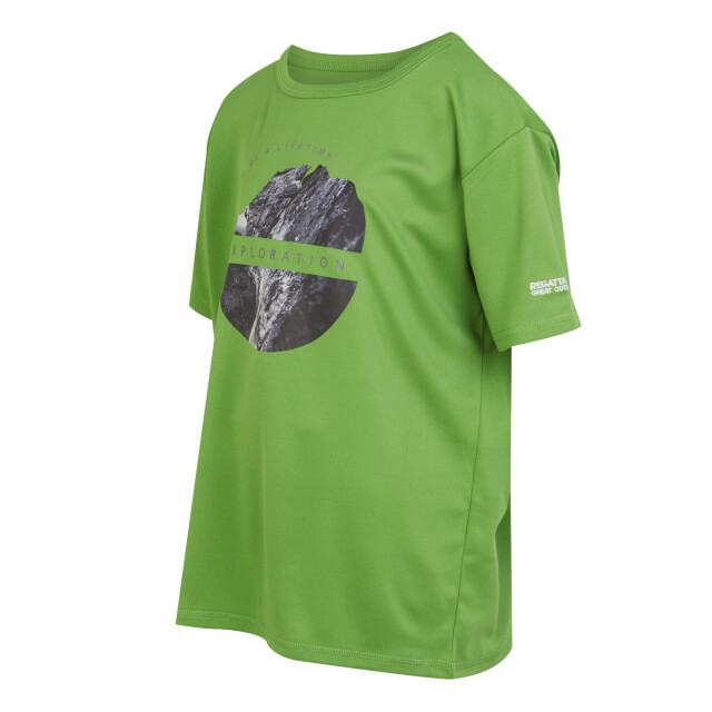 Regatta Kinderen/kinderen alvardo viii verkennings t-shirt UTRG10995_piquantgreen large