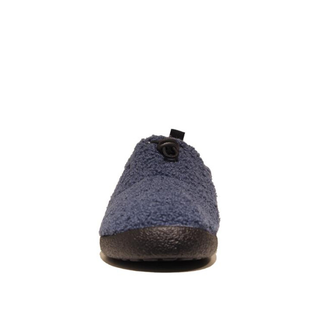 Rohde 2005 2005 large