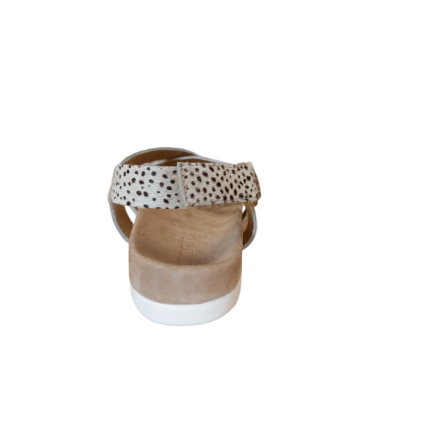 Maruti Bono Bono large