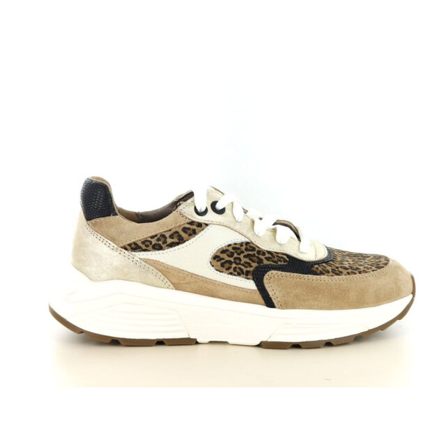 Xsensible 237.33.068 Sneakers Cognac 237.33.068 large