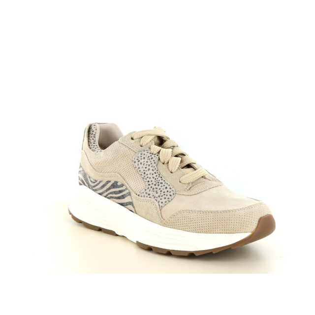 Xsensible 237.40.349 Sneakers Taupe 237.40.349 large