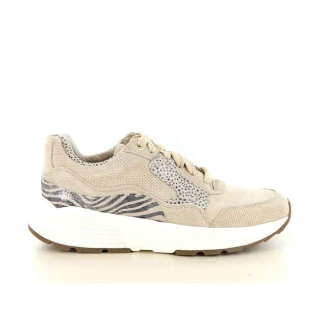 Xsensible 237.40.349 Sneakers Taupe 237.40.349 large