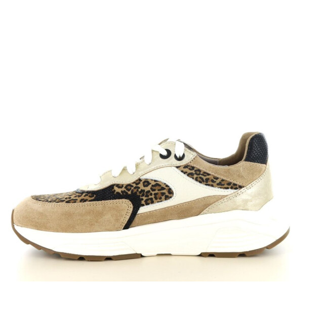 Xsensible 237.33.068 Sneakers Cognac 237.33.068 large