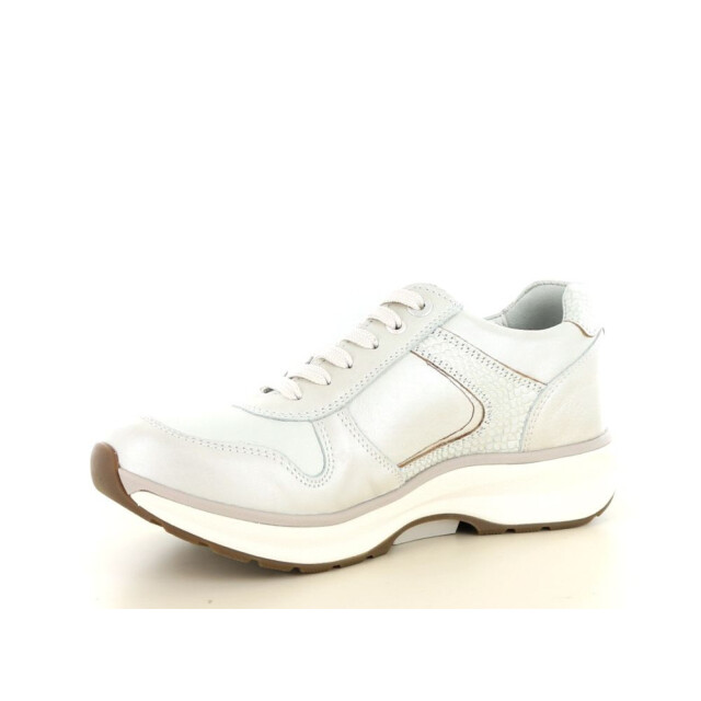 Xsensible 237.40.166 Sneakers Taupe 237.40.166 large