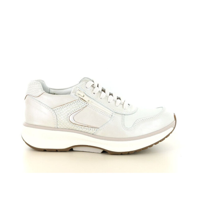 Xsensible 237.40.166 Sneakers Taupe 237.40.166 large