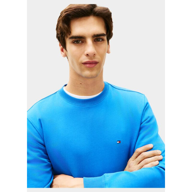 Tommy Hilfiger Pullover essential terry crewneck mw0mw37237/c4u 204782 large