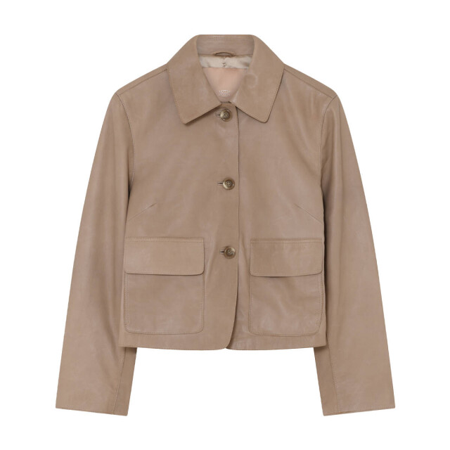 Gustav Jasje 60303 soho Gustav Jasje 60303 Soho large